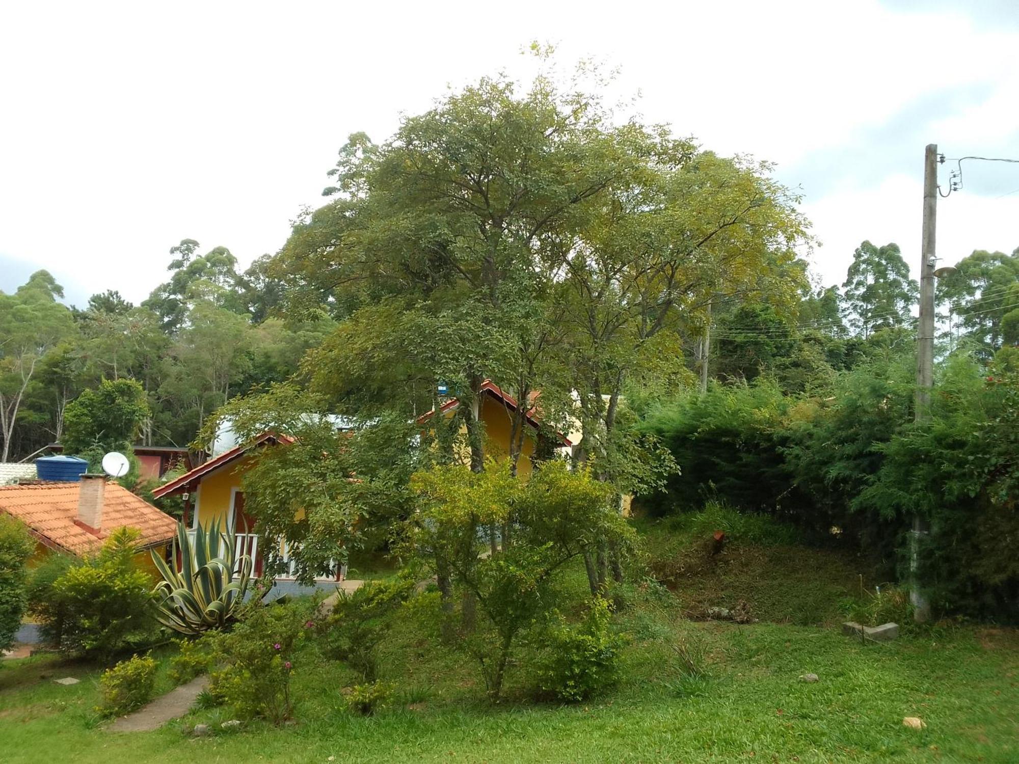 Chales Canto Dos Passaros Monte Verde  Zewnętrze zdjęcie